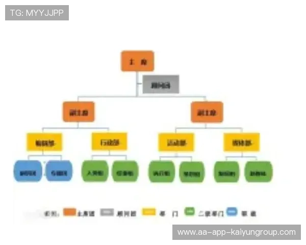 职业俱乐部组织架构建设优化